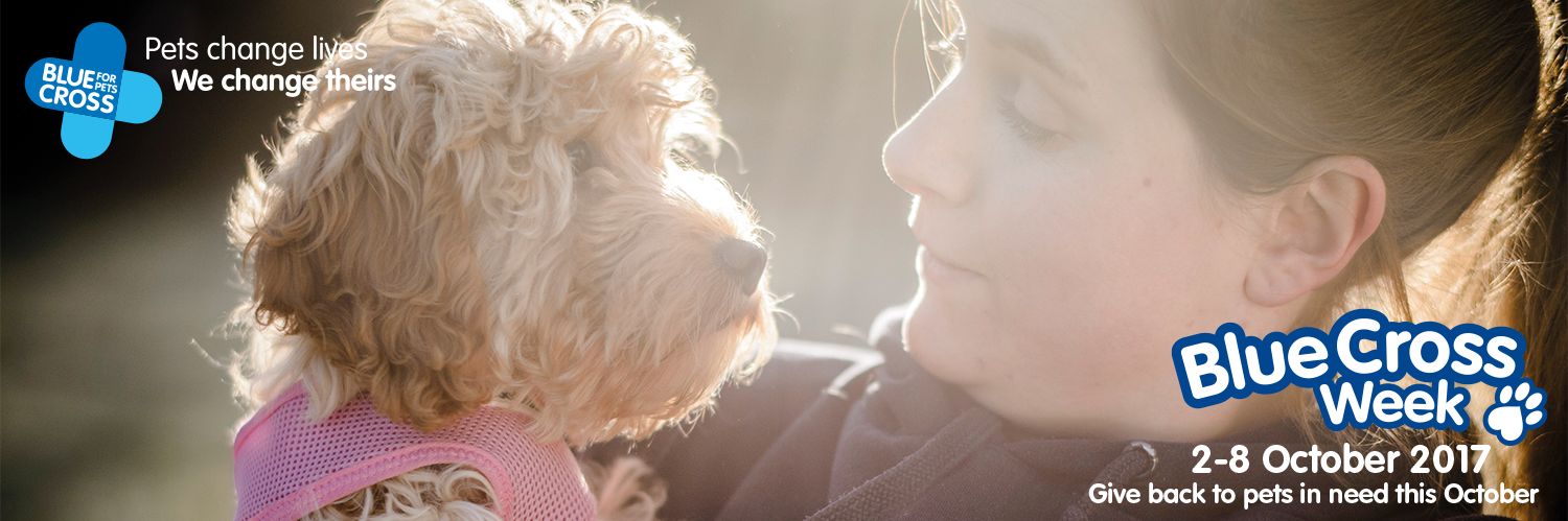 HertsBlueCross's profile banner image