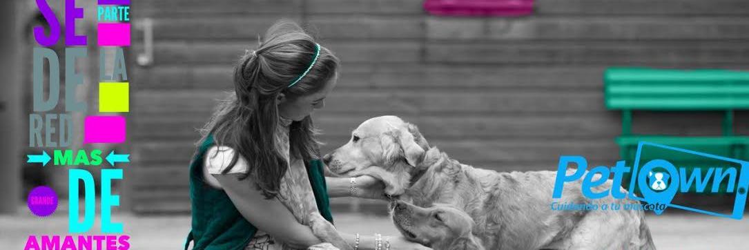 pet_own's profile banner image