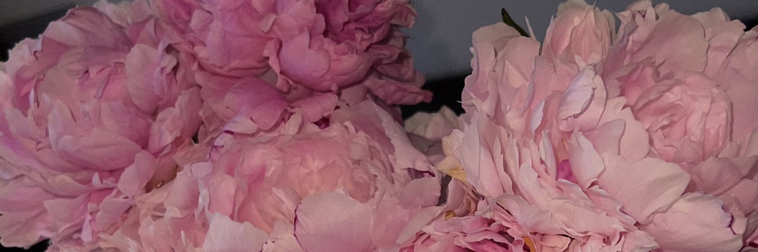 elliiinaaaaa's profile banner image