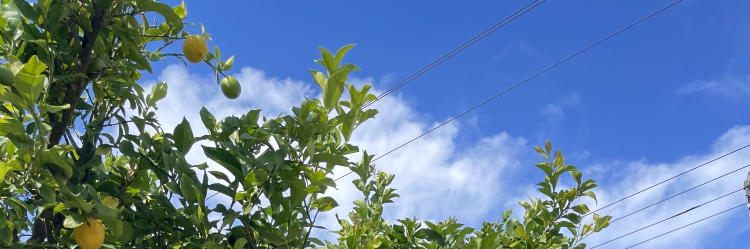 dalittweet's profile banner image