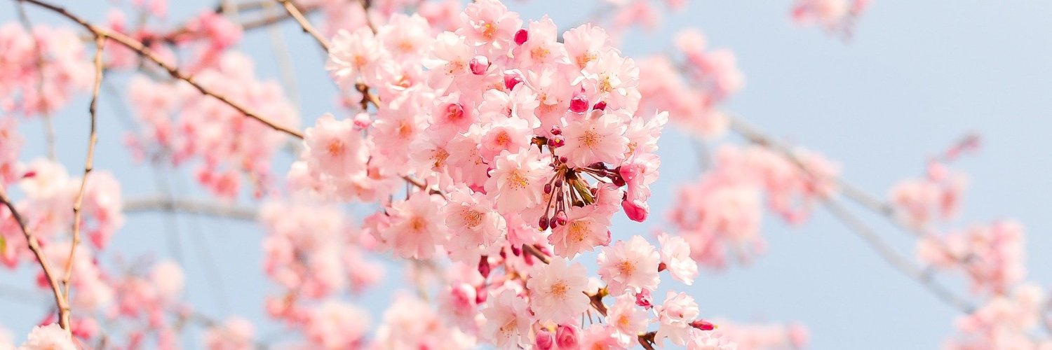 sinzan080408's profile banner image