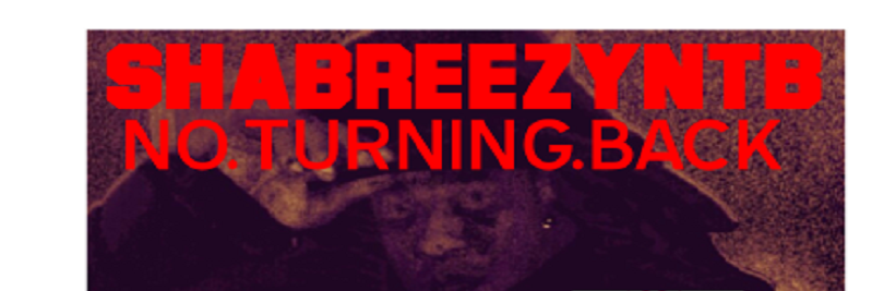 SHABREEZYNTB_'s profile banner image
