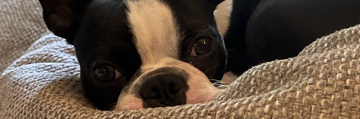 marisaakatee's profile banner image