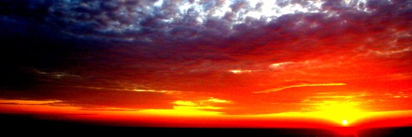 karen_quinn Profile Banner