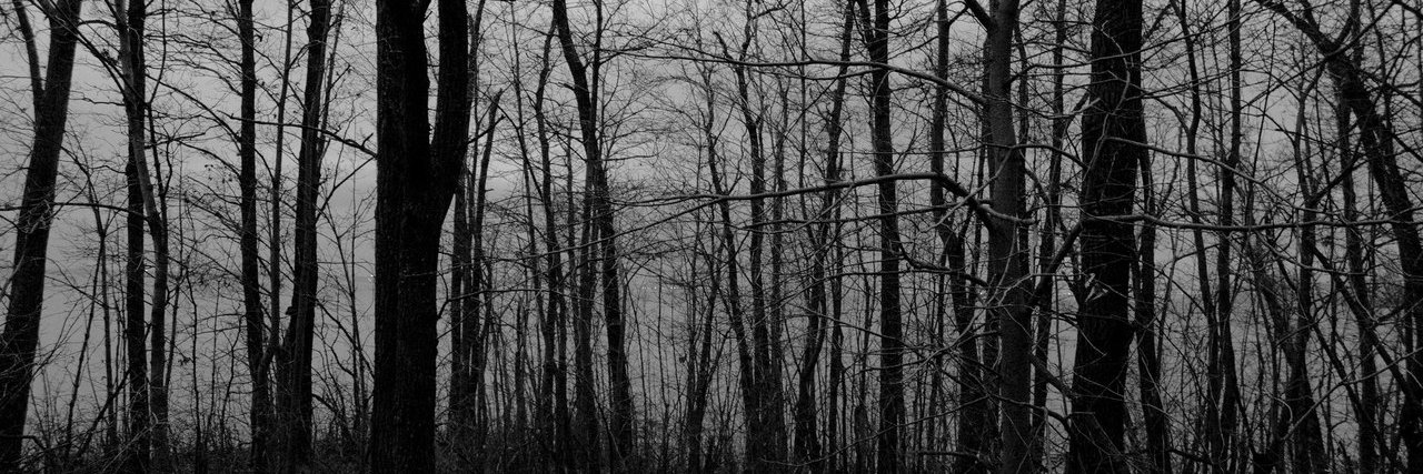 perdnivuho's profile banner image