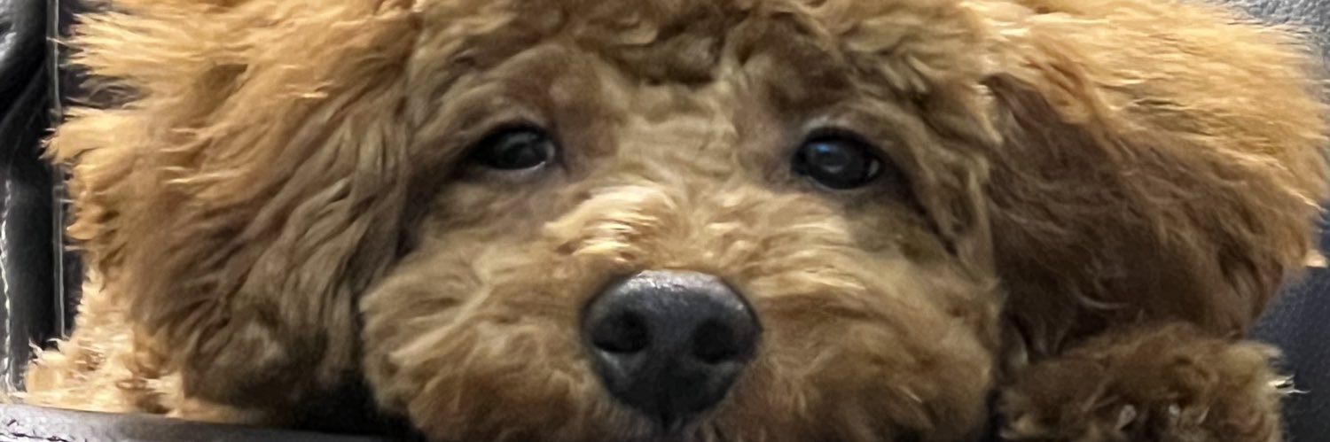knyyyyyyyy's profile banner image