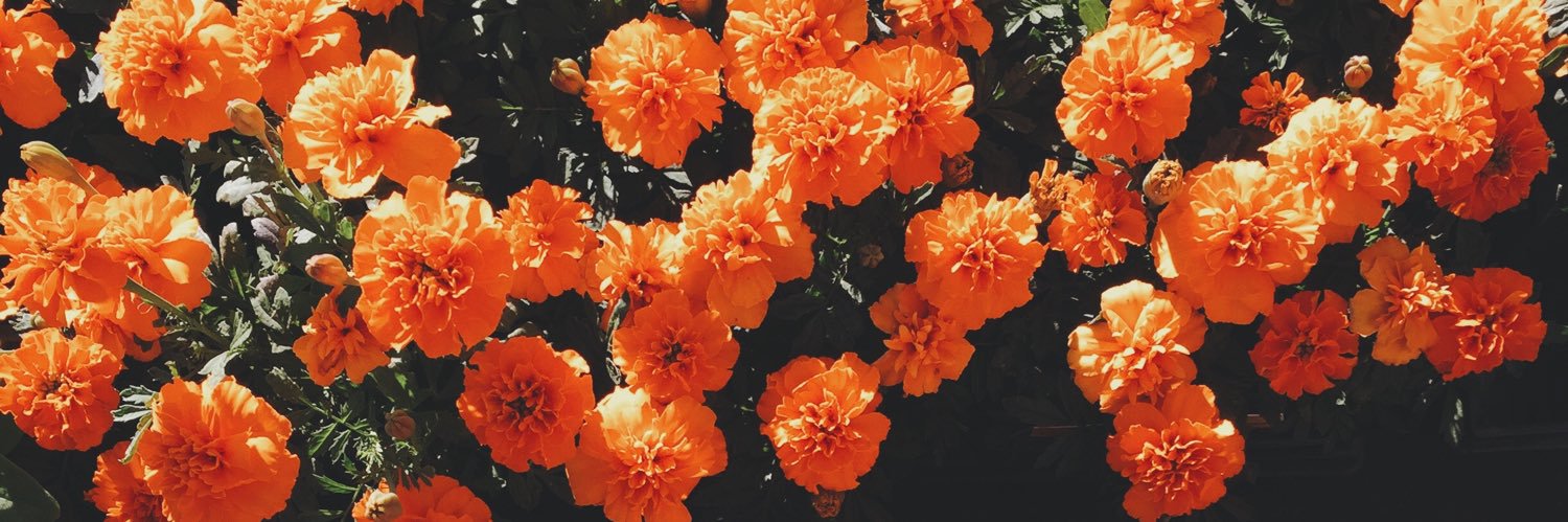 omiki222's profile banner image