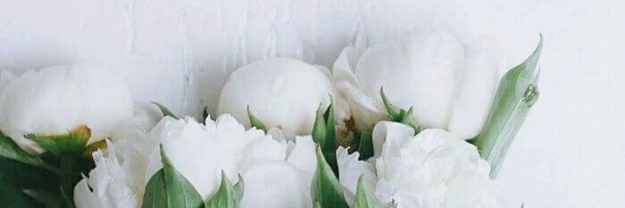 zuliabida_ns's profile banner image
