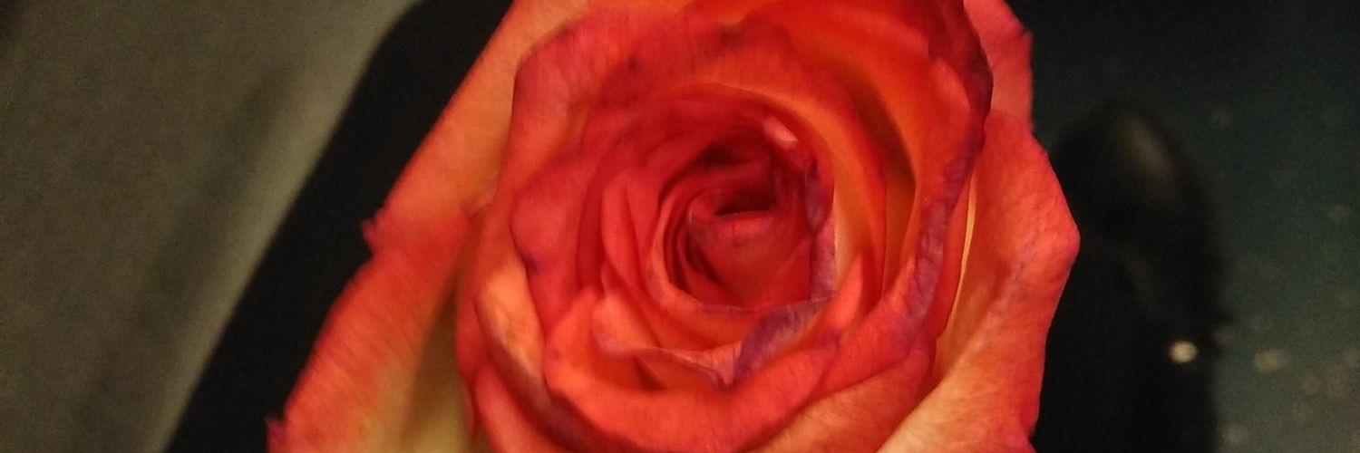 DiGteta's profile banner image