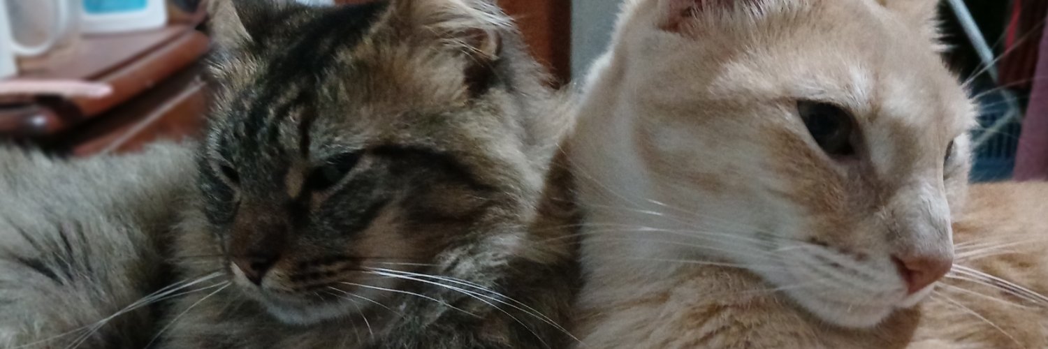 TaaattiLopez's profile banner image