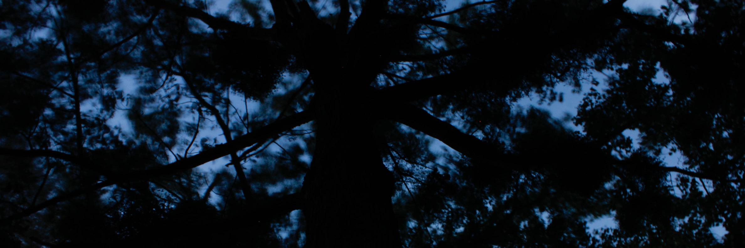 adrienLBT_'s profile banner image