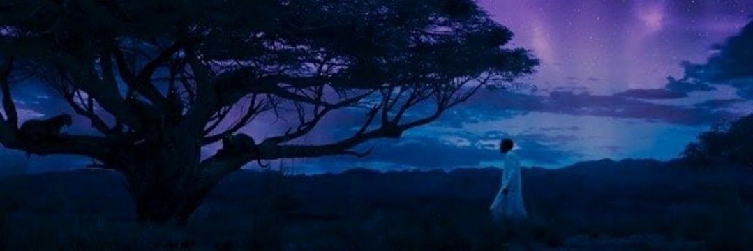 SierraHighKey's profile banner image