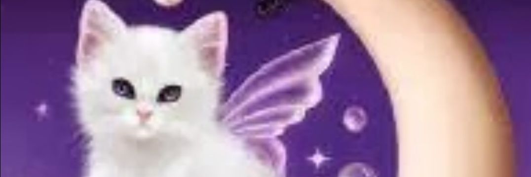 Lenore1963's profile banner image
