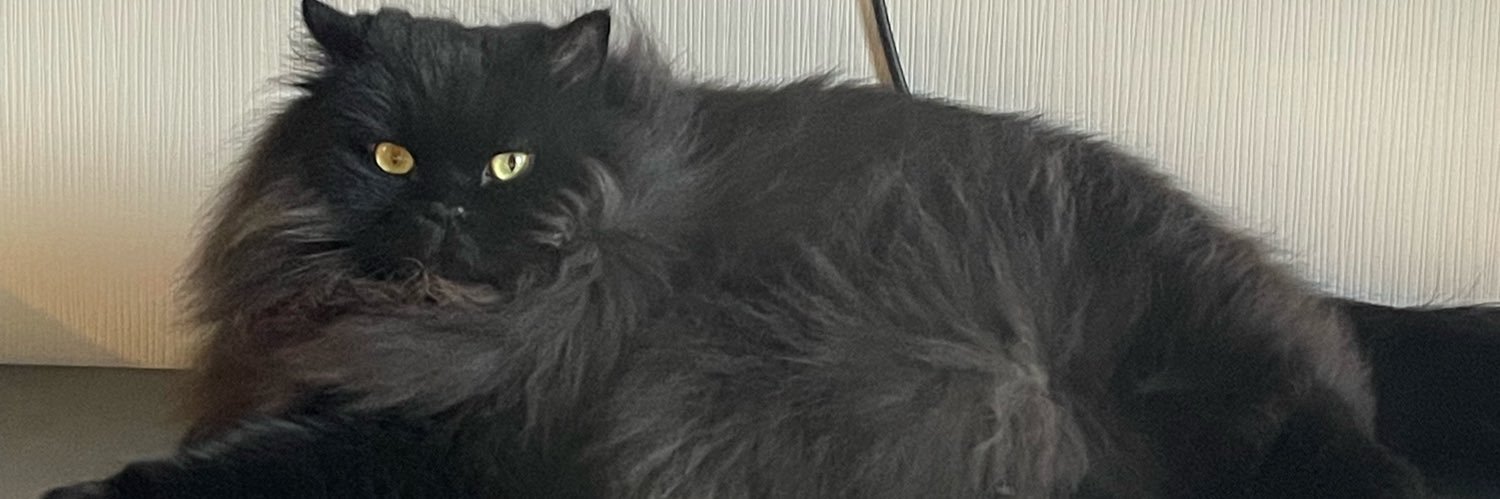 nTiiik's profile banner image