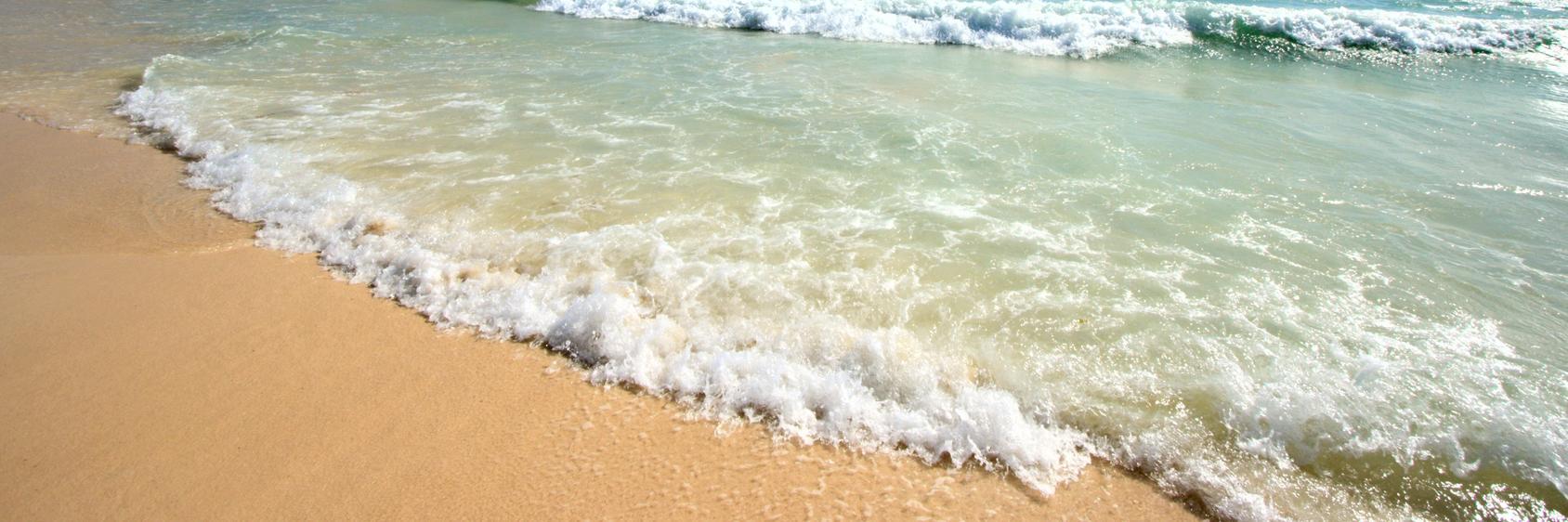 losalamosbeach's profile banner image