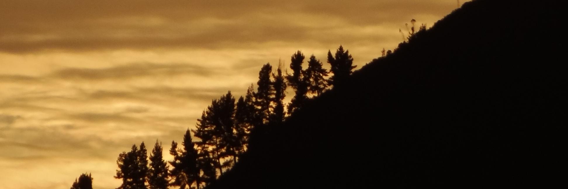BadWolfNat's profile banner image
