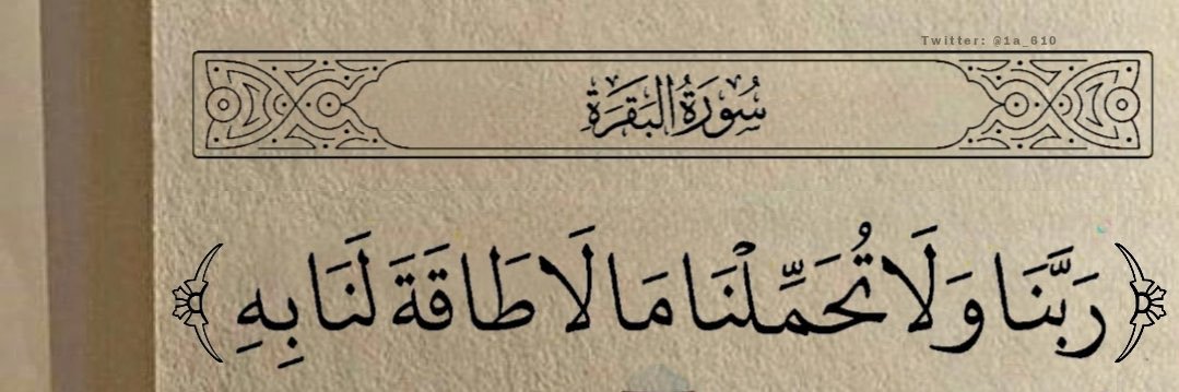 fatma_elsa's profile banner image
