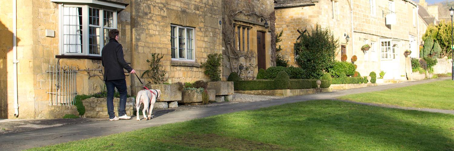 DogFriendlyCots's profile banner image