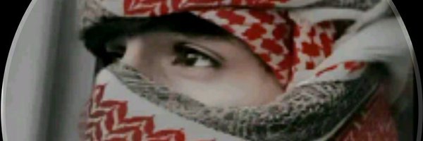 it3t_ Profile Banner