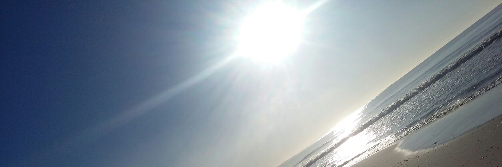 MaxiiLira's profile banner image