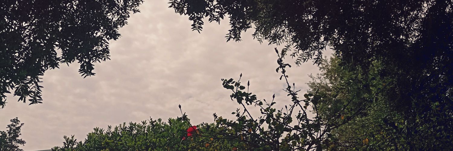 PandaRosie_'s profile banner image