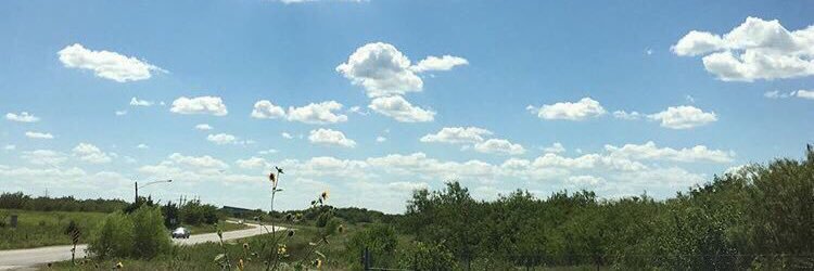 _yy224's profile banner image
