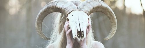 零's banner