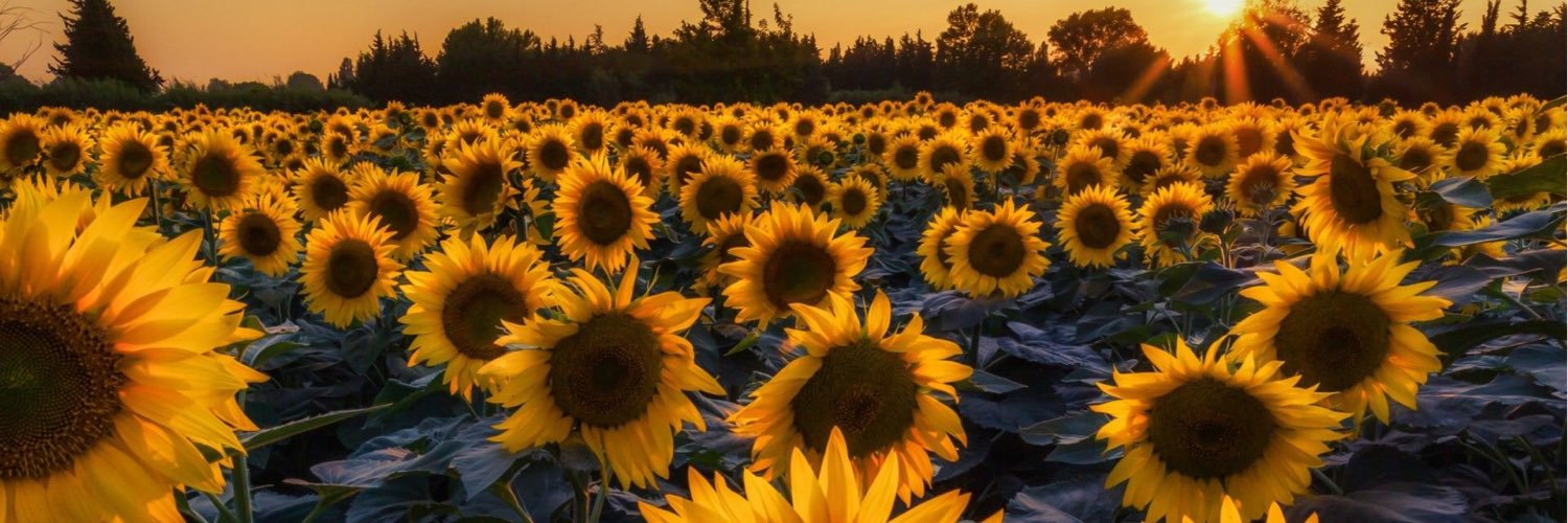 Christina Getschmann banner