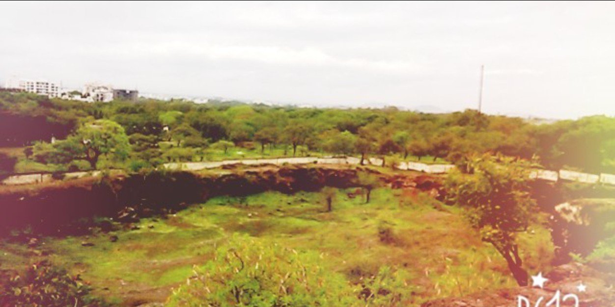 popluuuu banner