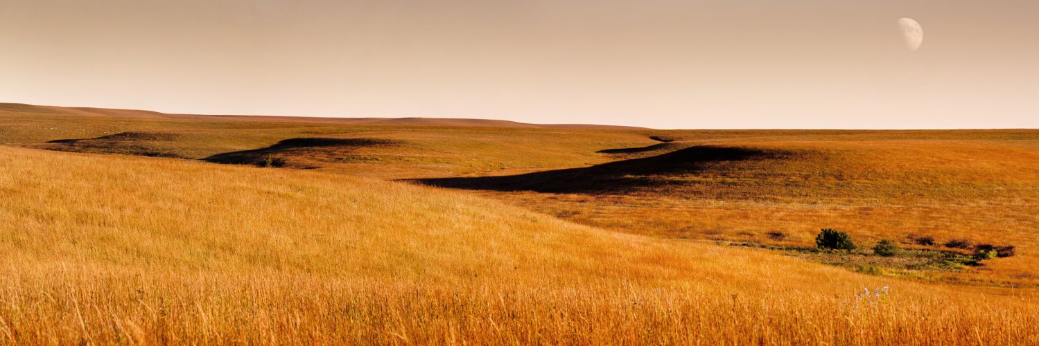 RickRalston's profile banner image