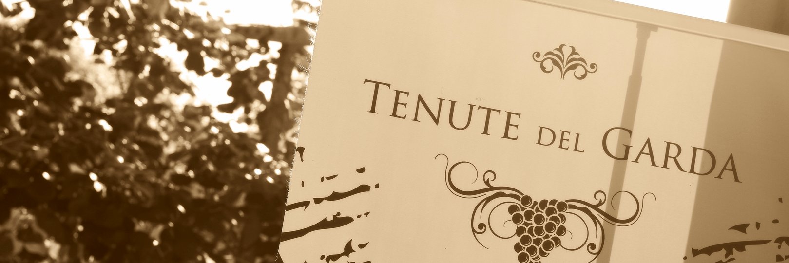 tenutedelgarda's profile banner image