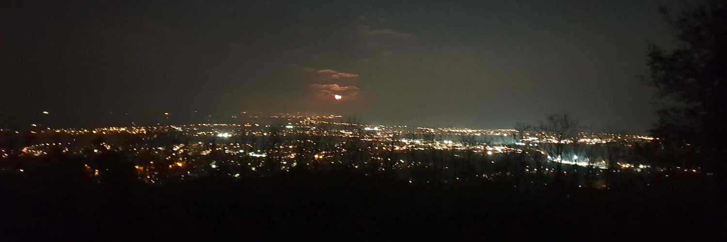 James Hamilton banner