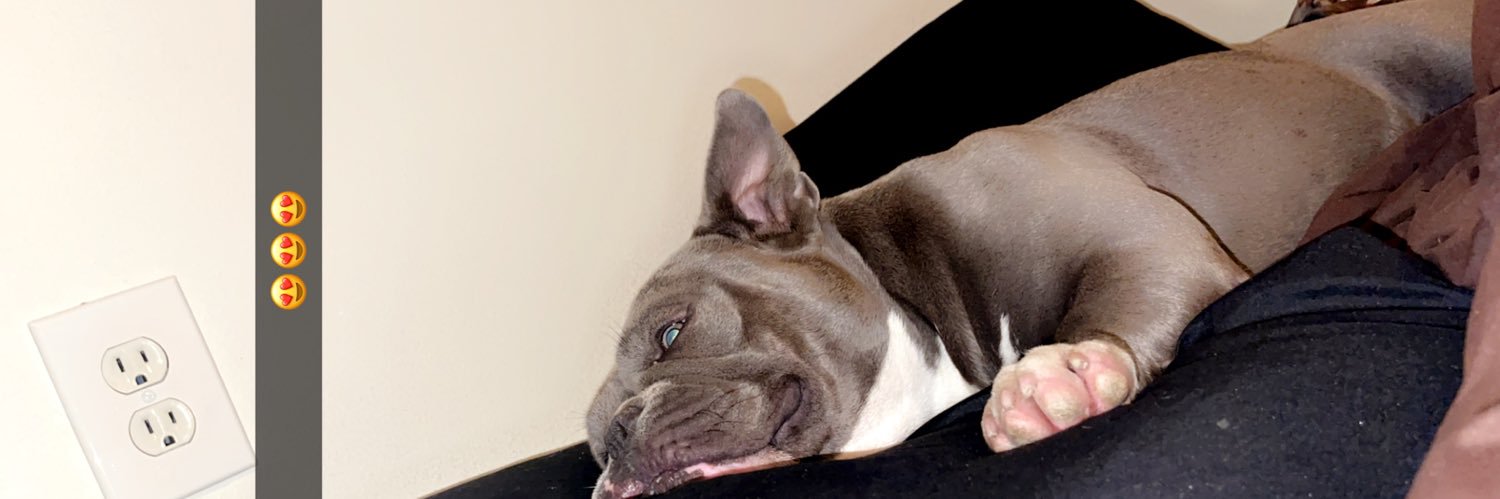 ♏️ystique banner