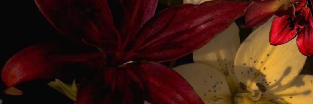 pamcfm_'s profile banner image
