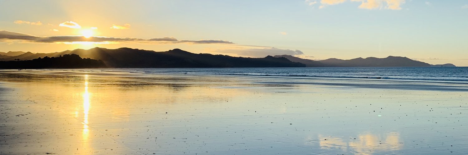 Paula Sabina banner