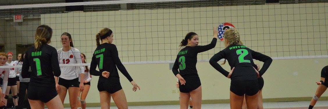 Black Swamp Sports banner