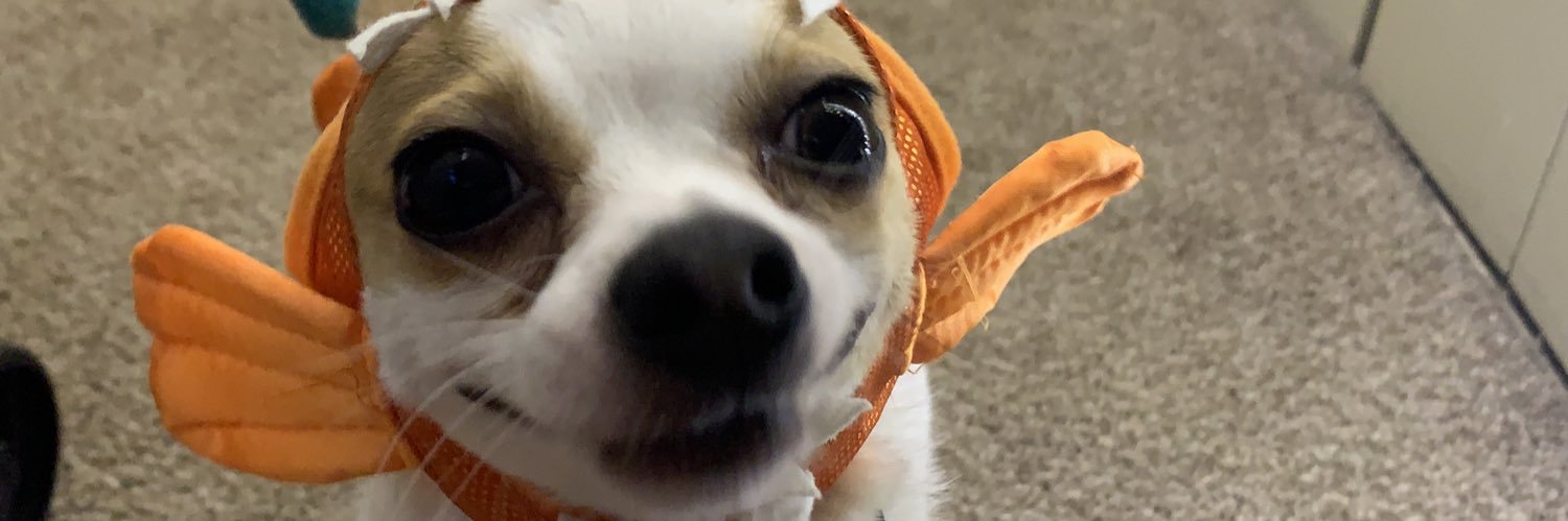 mckjennifer's profile banner image