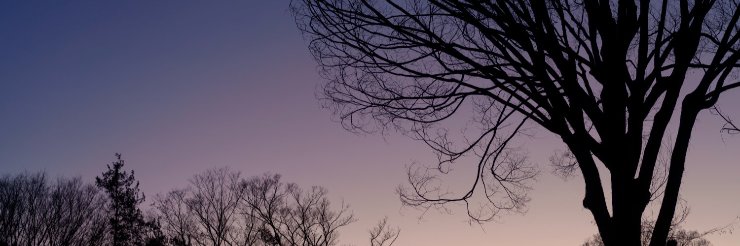 mitsuwallow's profile banner image