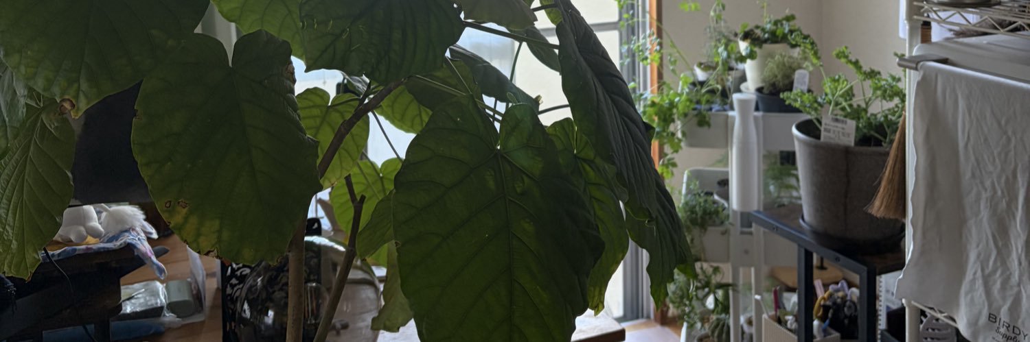 muumuu46's profile banner image