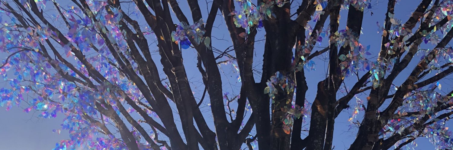 iitomo1122's profile banner image