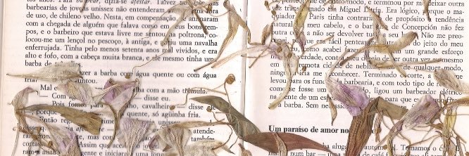 karolsierote's profile banner image