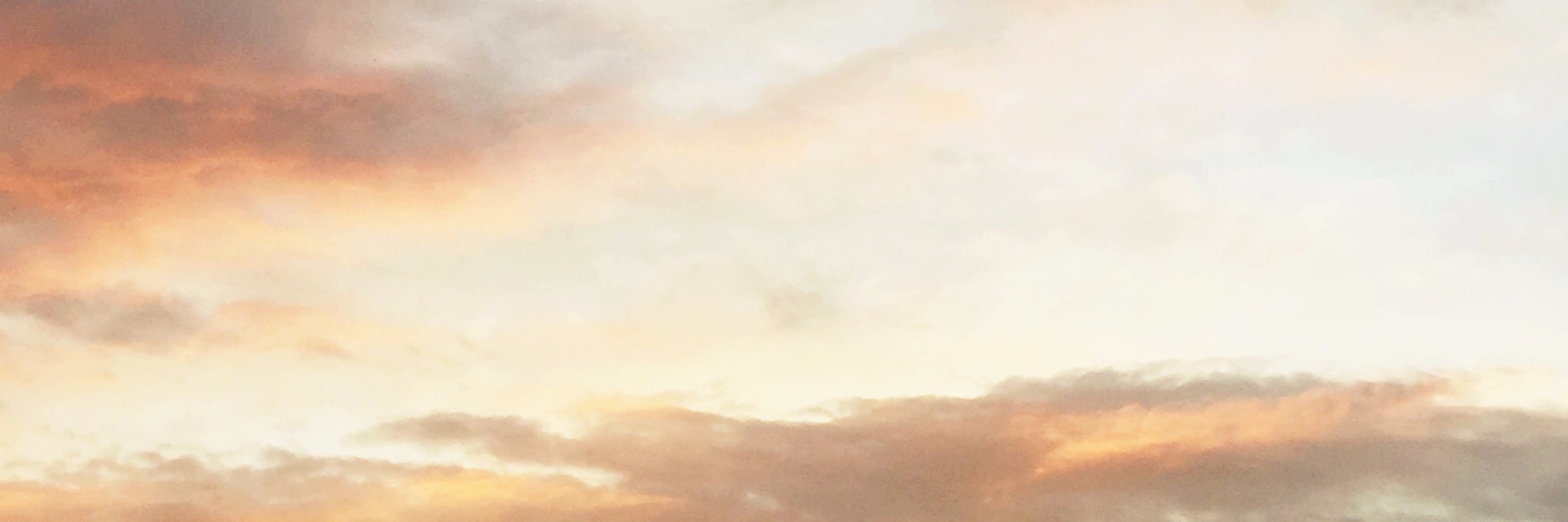 leahvanert's profile banner image