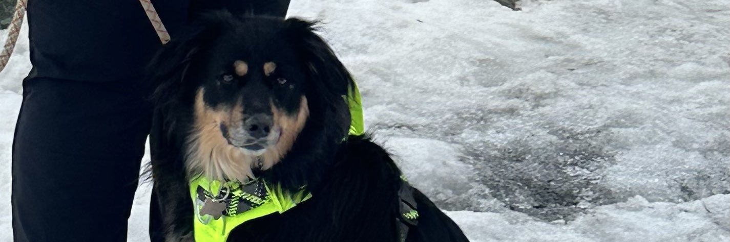 brantlee_wright's profile banner image
