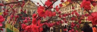 vallyjay's profile banner image