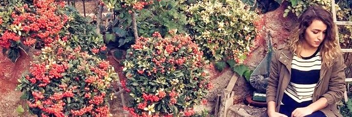 MenevseMeryem's profile banner image