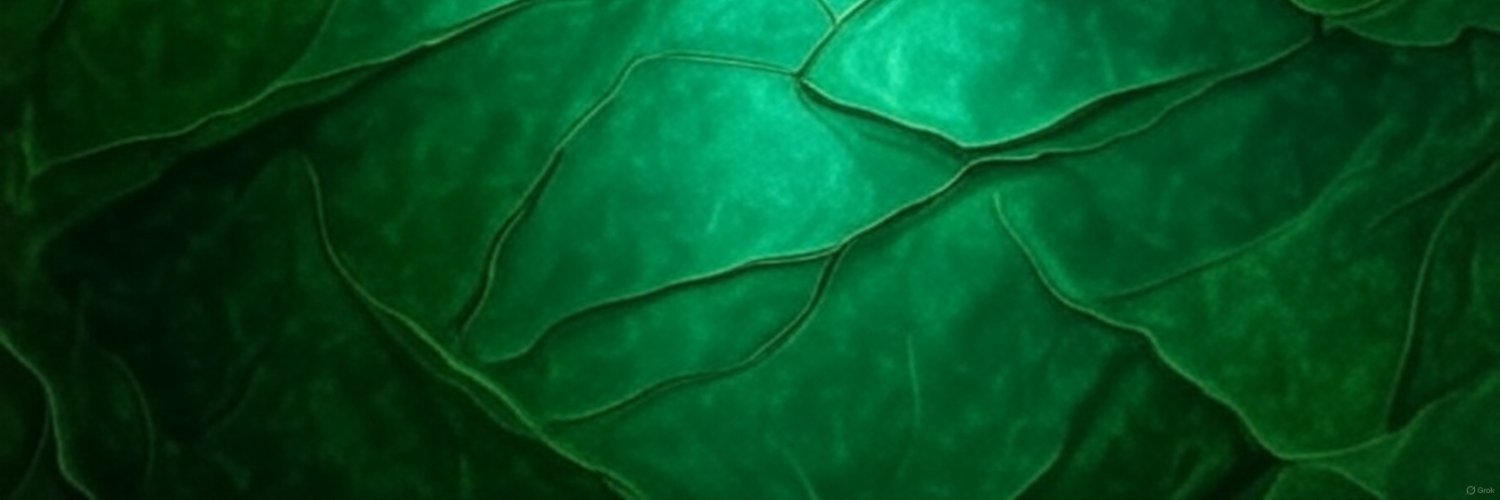 رقيا | Ruqiya banner