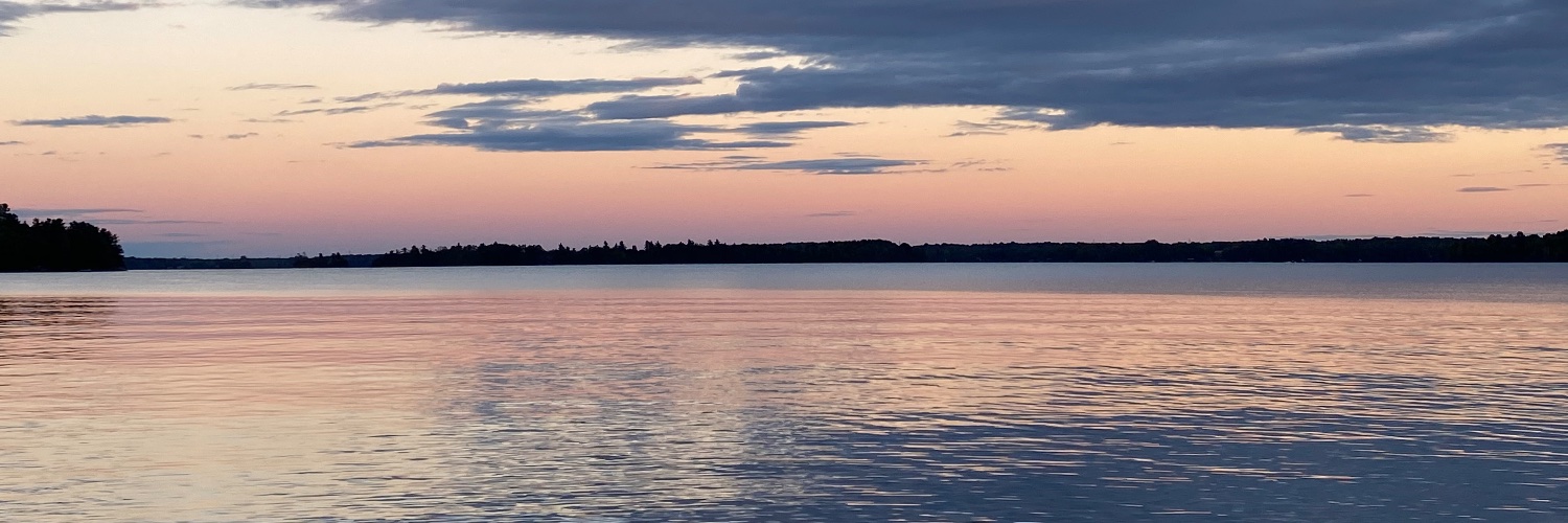 Shantia Thompson banner