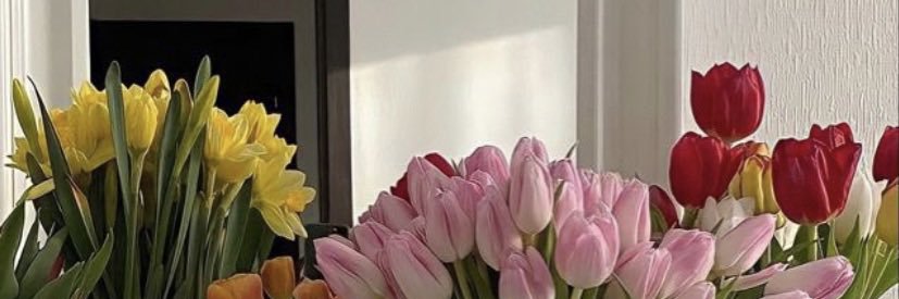 EleonoreQcn's profile banner image
