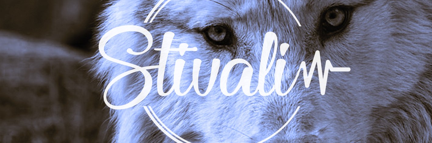 Stivalidj's profile banner image