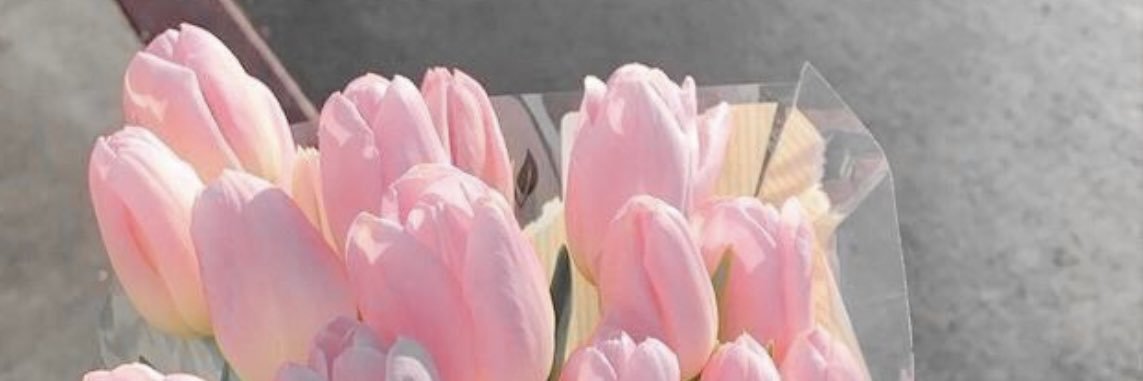 marionchtn's profile banner image